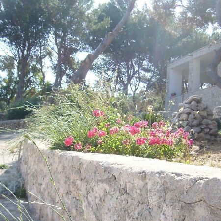 Villa Aquarium Gagliano del Capo Exteriér fotografie