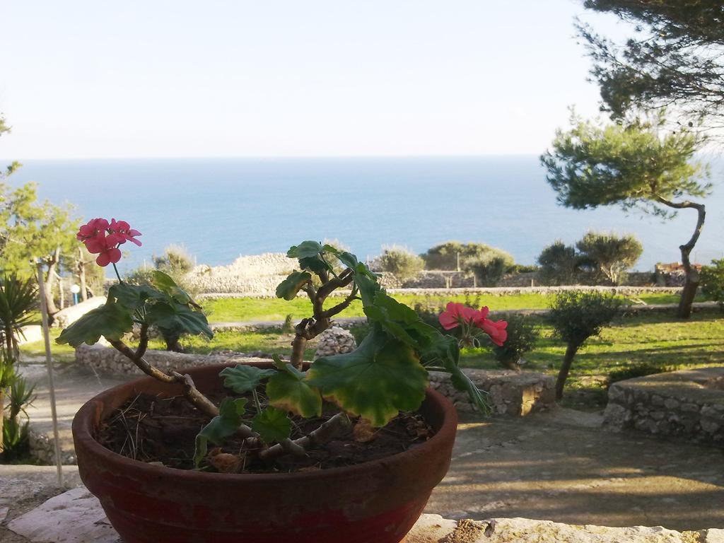Villa Aquarium Gagliano del Capo Exteriér fotografie