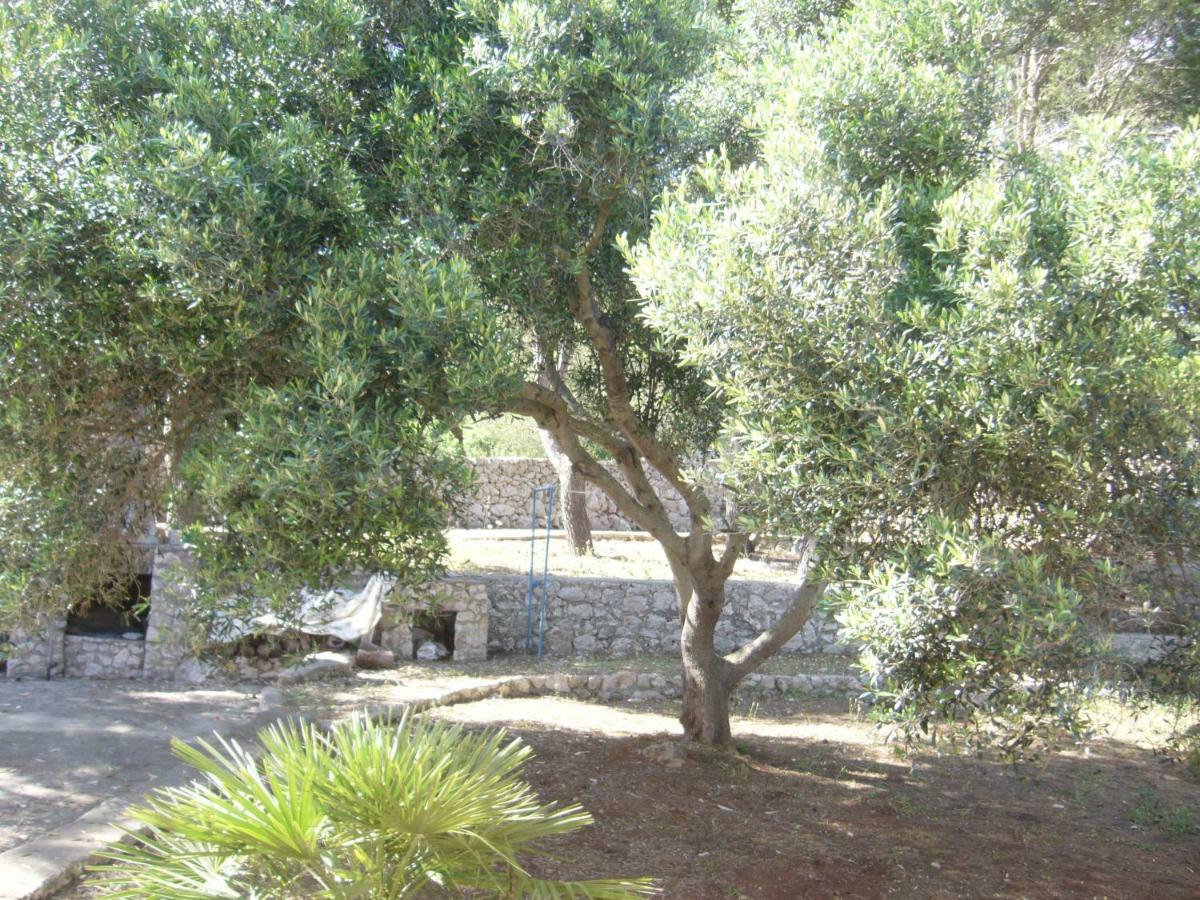 Villa Aquarium Gagliano del Capo Exteriér fotografie
