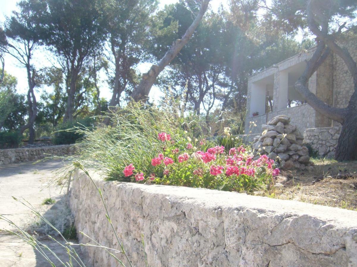 Villa Aquarium Gagliano del Capo Exteriér fotografie