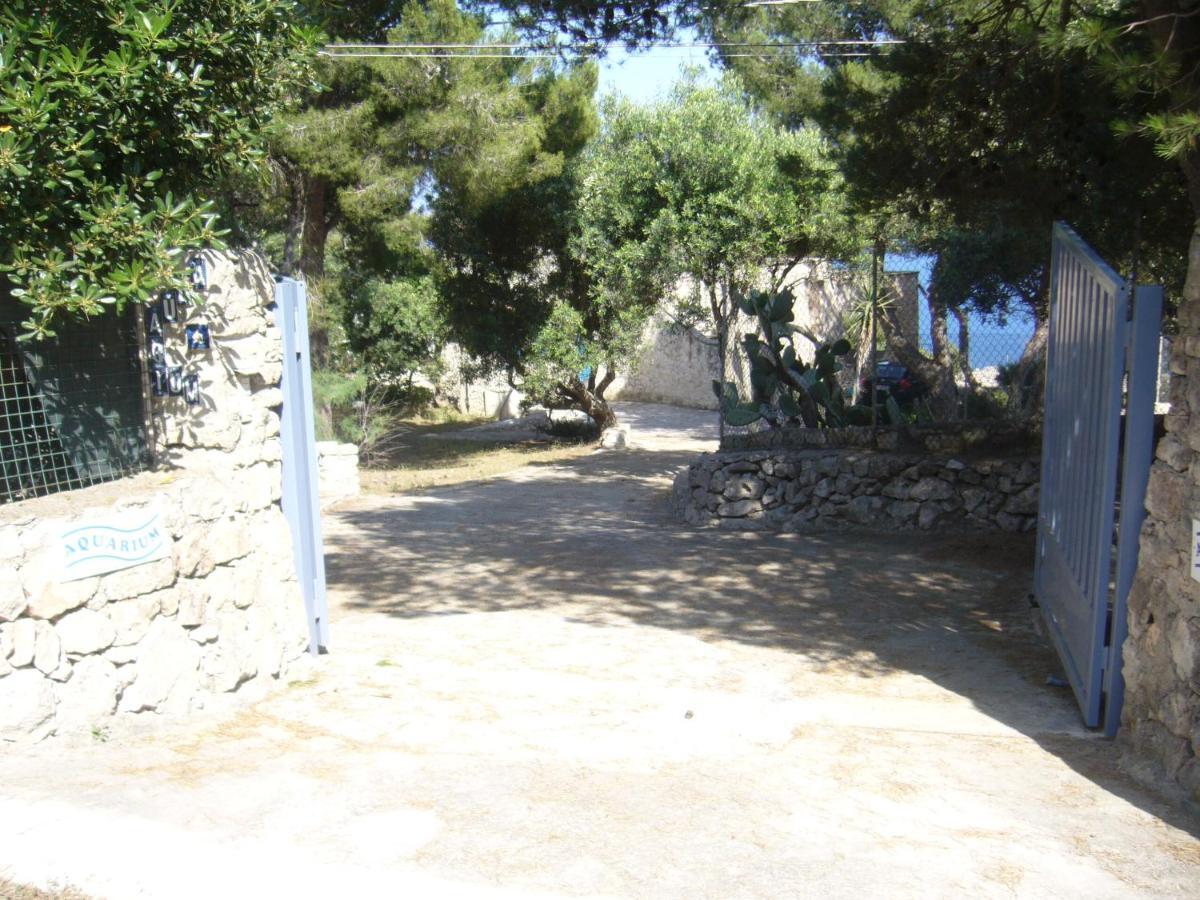 Villa Aquarium Gagliano del Capo Exteriér fotografie